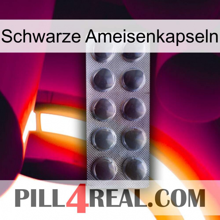 Black Ant Capsules 30